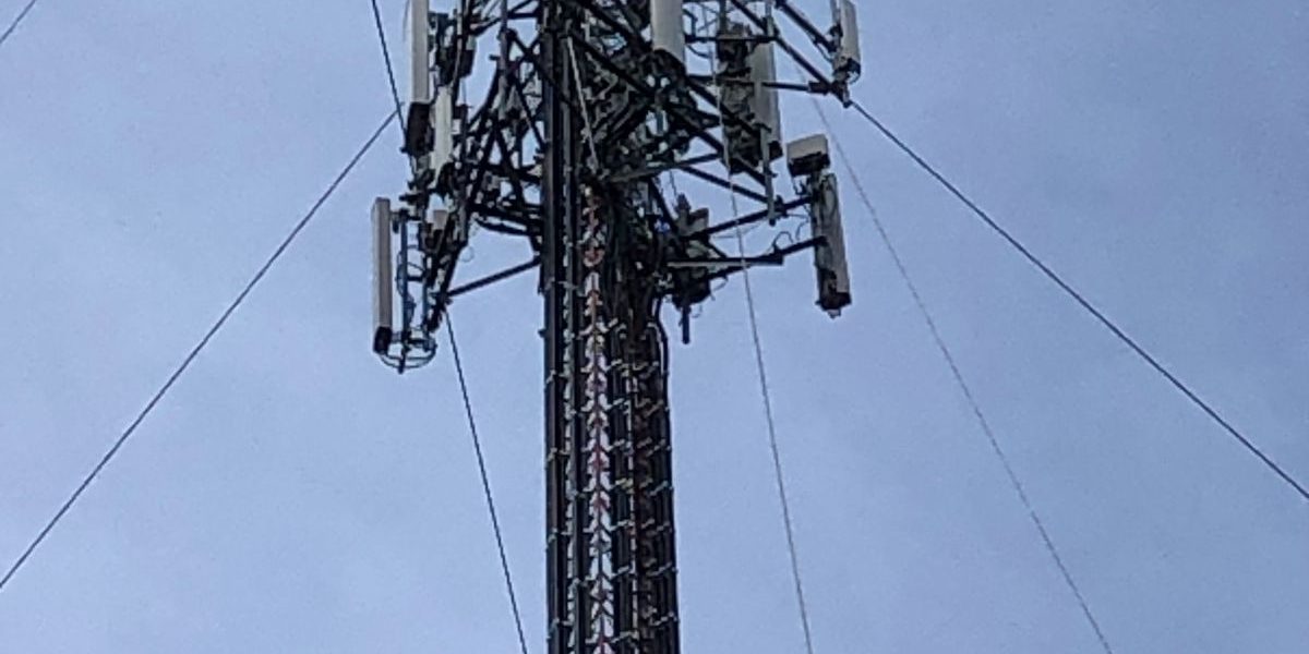 Cellular tower top